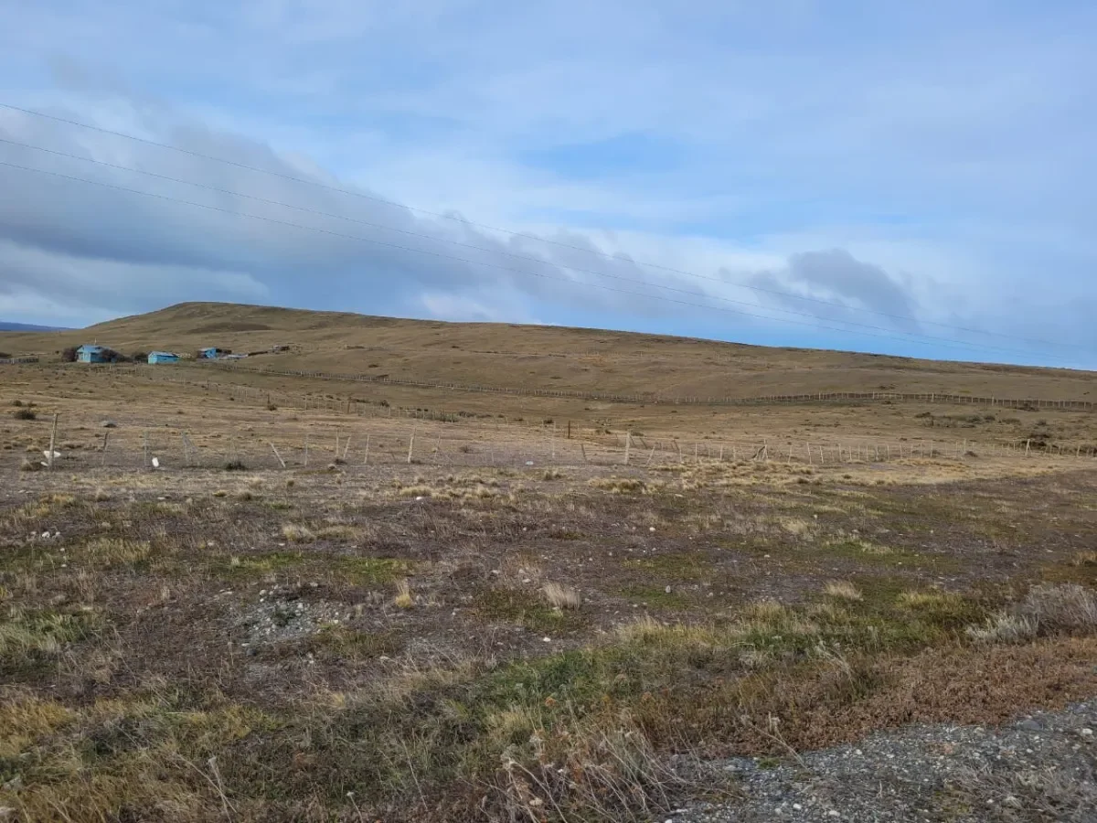 Campo de 500 HA en Porvenir