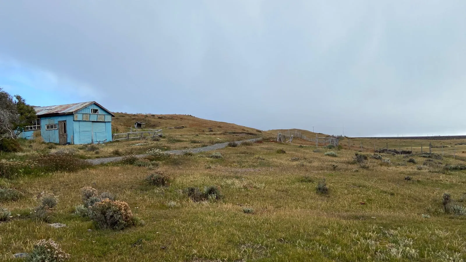 Campo de 500 HA en Porvenir