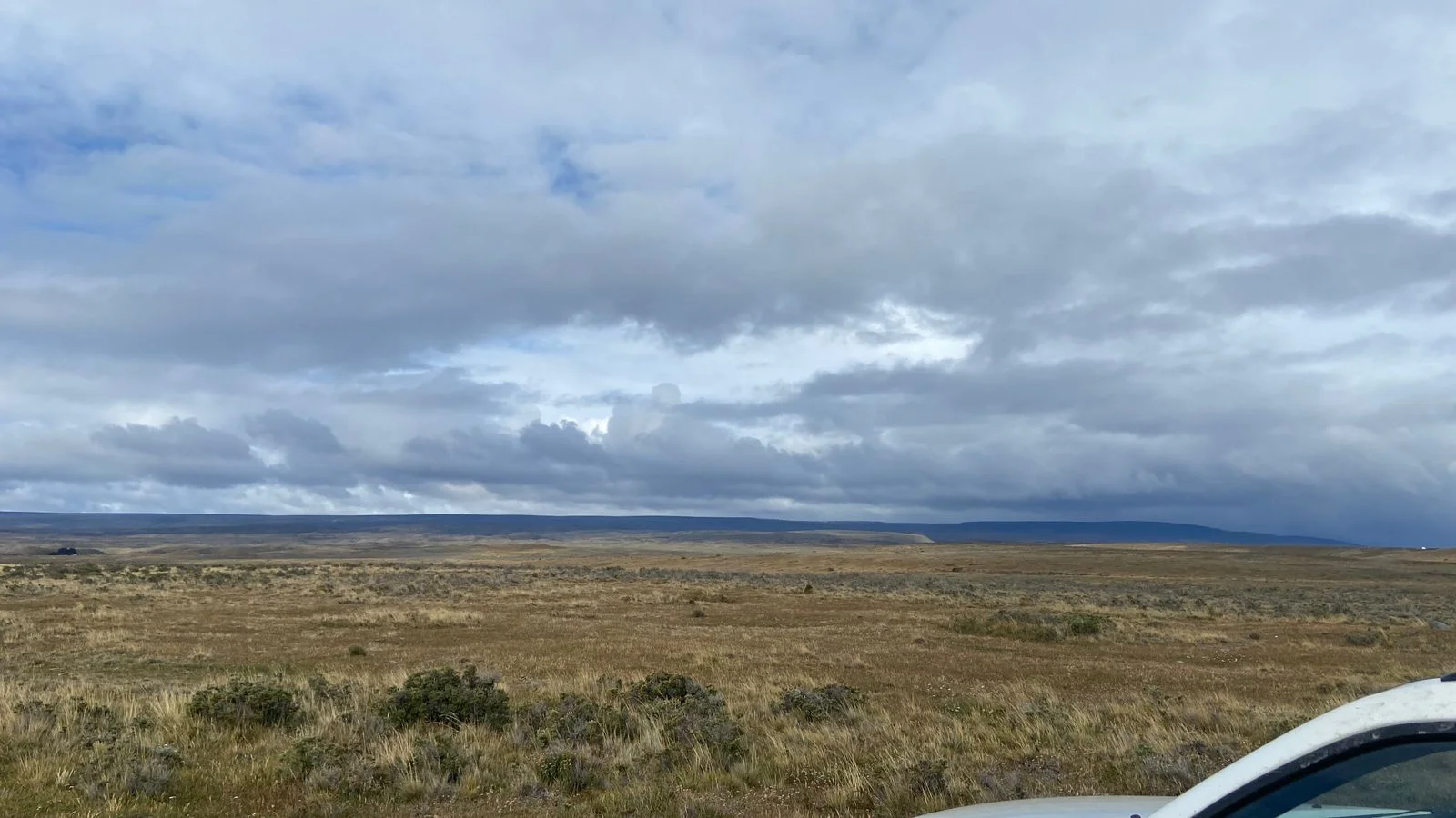 Campo de 500 HA en Porvenir