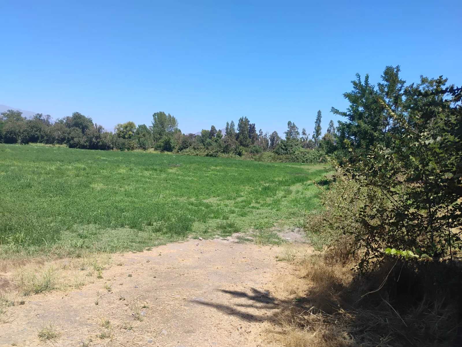 Terreno con excelente ubicación en Buin (Periferia de Región Metropolitana)