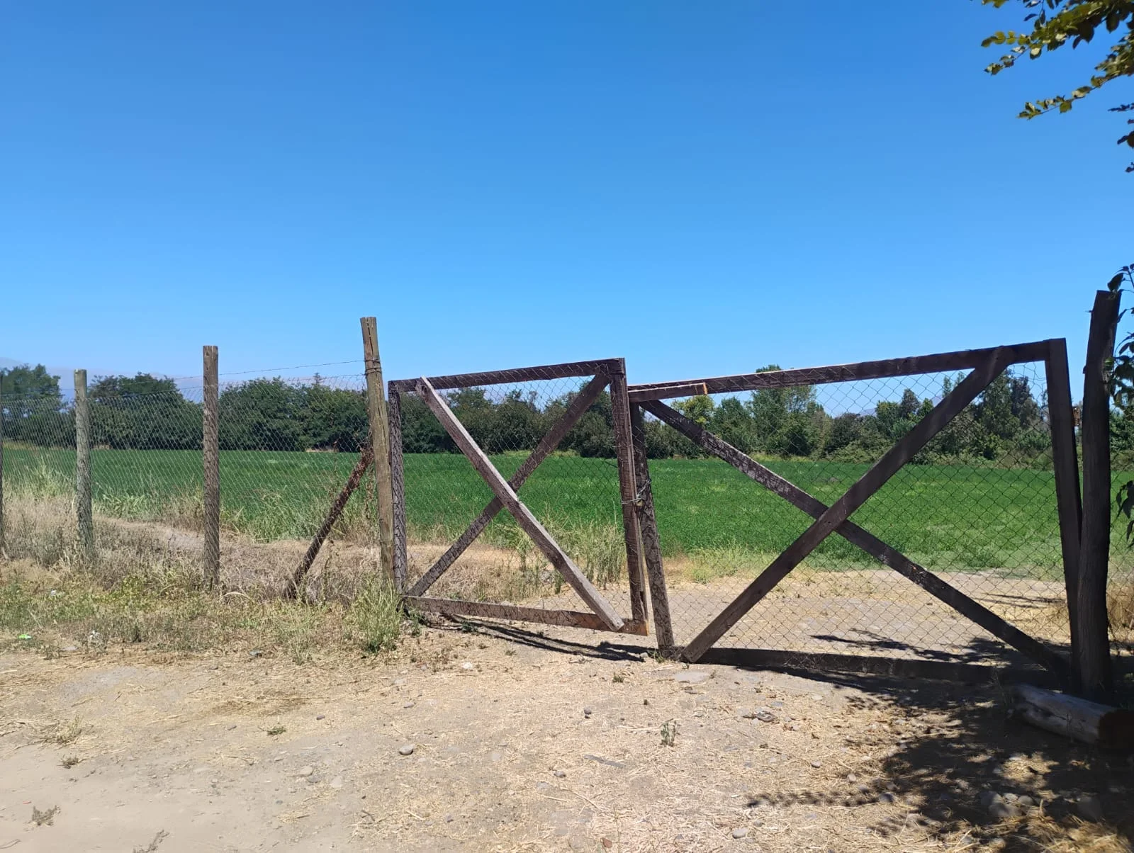 Terreno con excelente ubicación en Buin (Periferia de Región Metropolitana)
