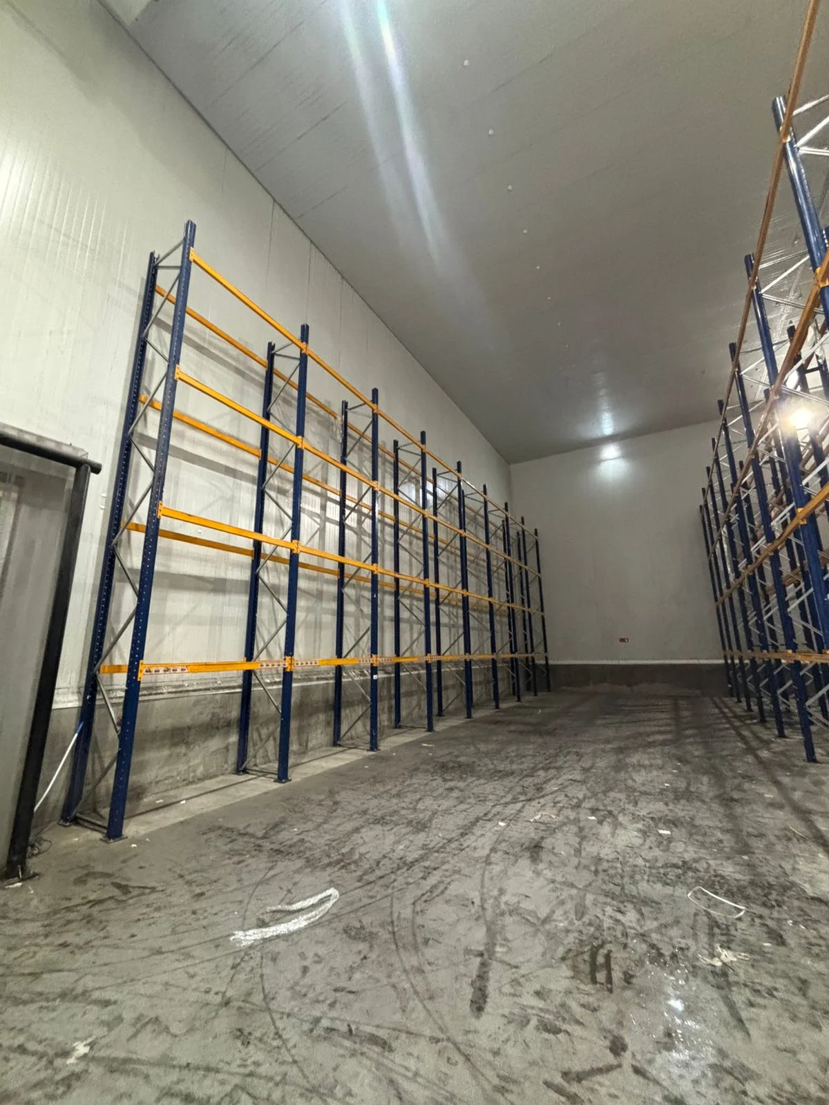 Bodega Frigorífica – Paine