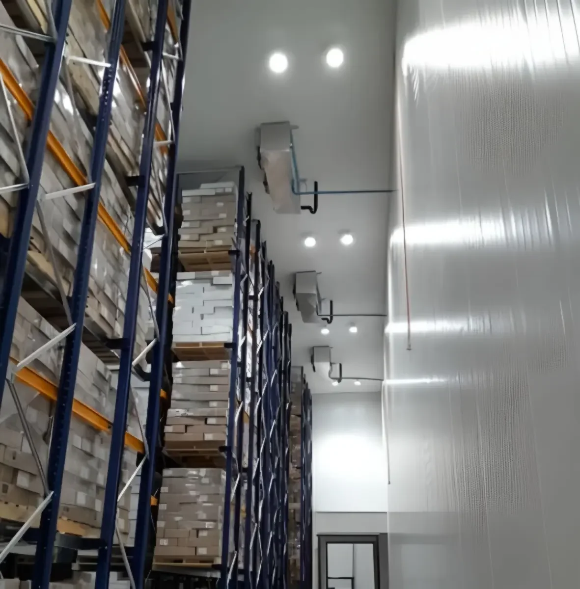 Bodega Frigorífica – Punta Arenas